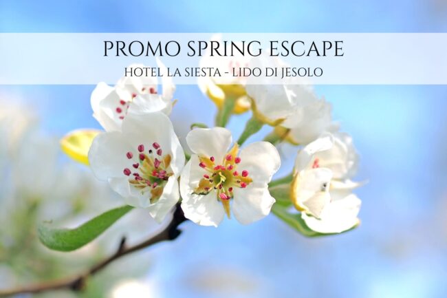 Spring escape La Siesta